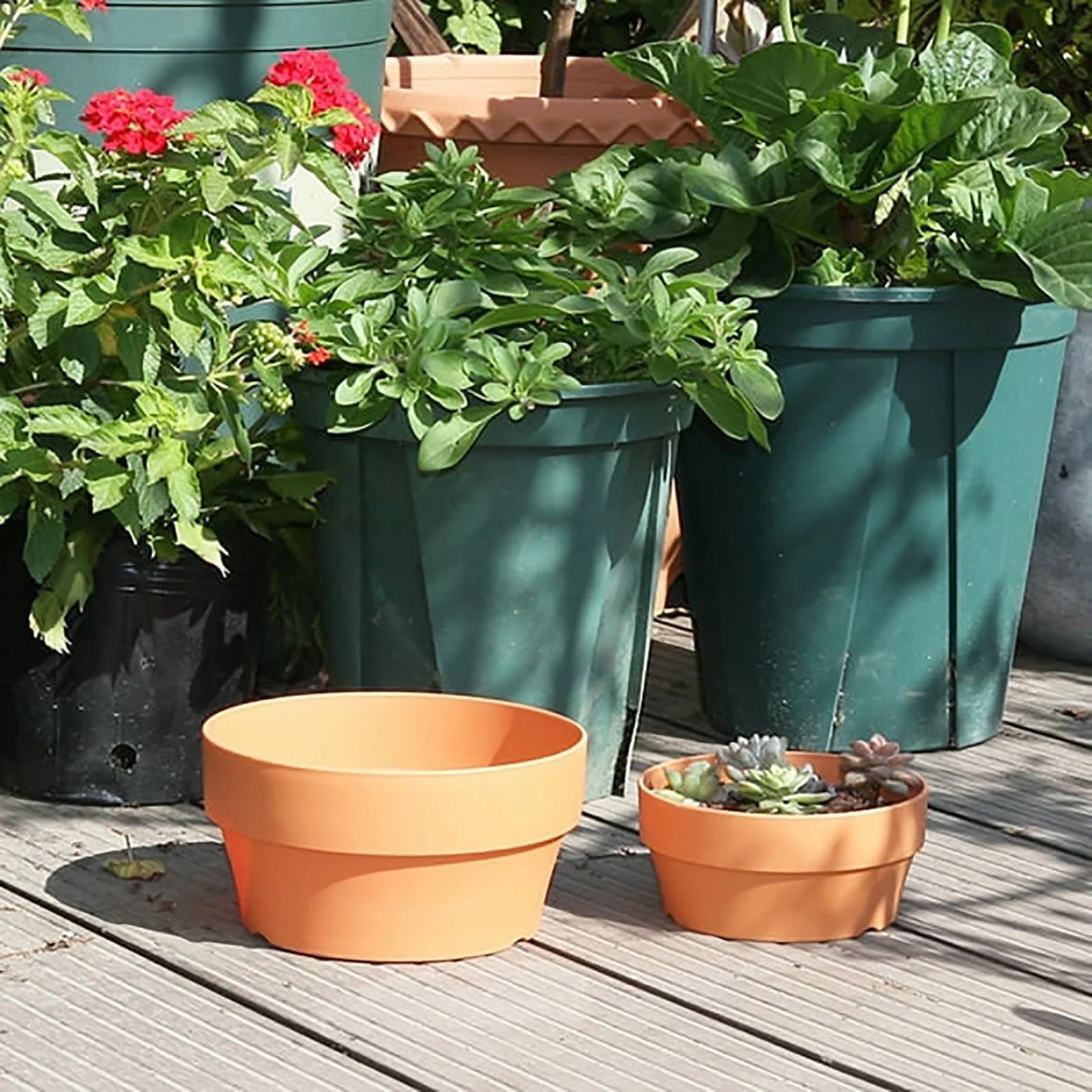 Ghiveci plastic imitatie teracota pentru plante suculente, design