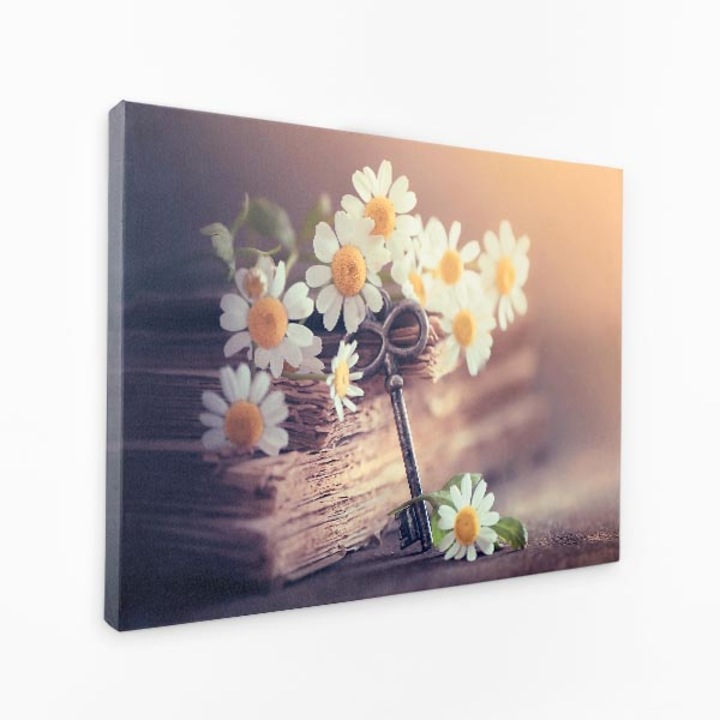 Картина на платно - Ключът към живота Книга Цвете Цъфтеж - 120x80 см
