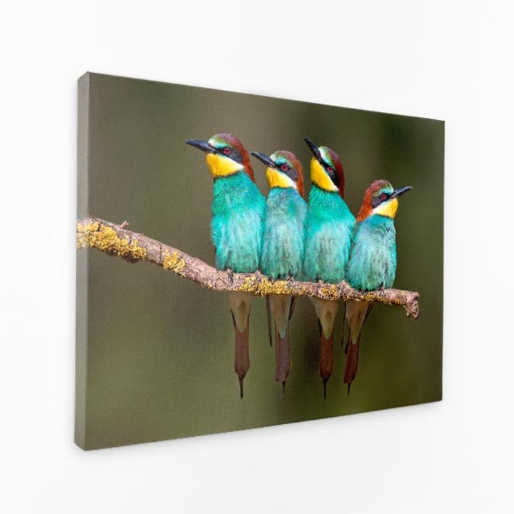 Картина върху платно - Колибри, кацнали на клон, ято птици - 140x90 см