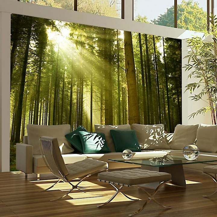 Fotótapéta - Magas fenyők közt 350x270