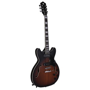 Instrumente cu coarde