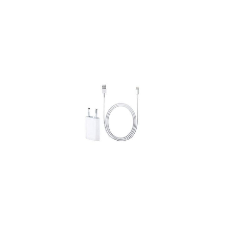 Iberry 1A зарядно+2m Lightning кабел за iPhone 5,5S,5SE,5C,6,6S,6 Plus,7,7 Plus Бял