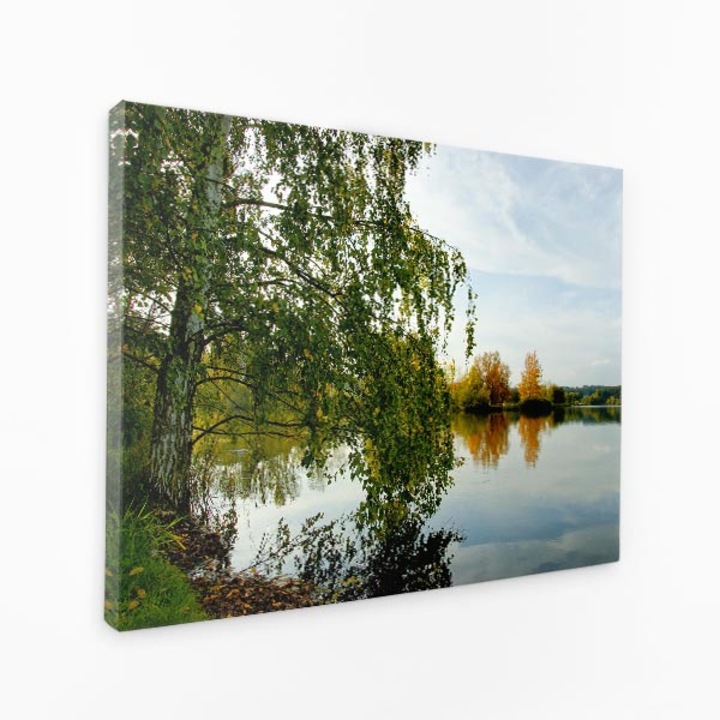 Картина върху платно - Отражение на природата във вода, клони на дървета, небе - 40x60 см