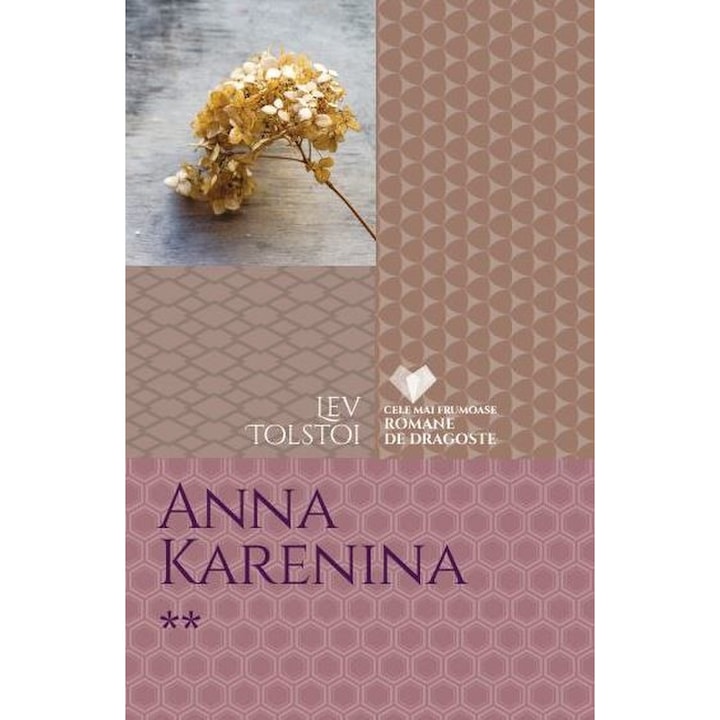 Set Anna Karenina (2 volume)