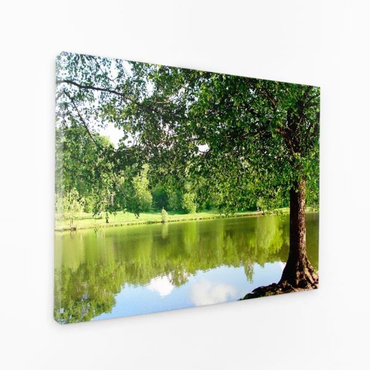 Картина върху платно - Спокойно езеро под дърво, отражение, мирна природа - 70x50 см