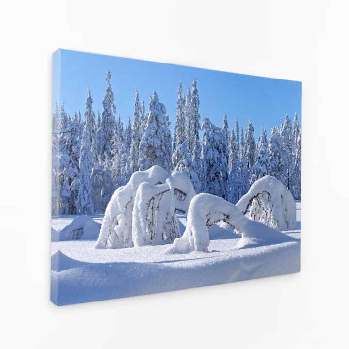 Картина върху платно - Клони на дървета, покрити със сняг в гората - 40x60 см