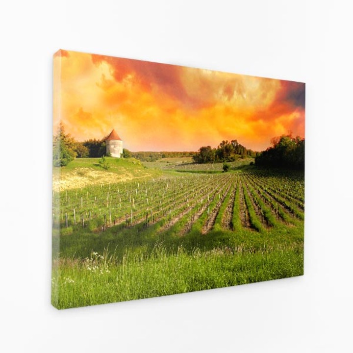 Картина върху платно - Залез над пейзаж с лозово поле - 40x60 см