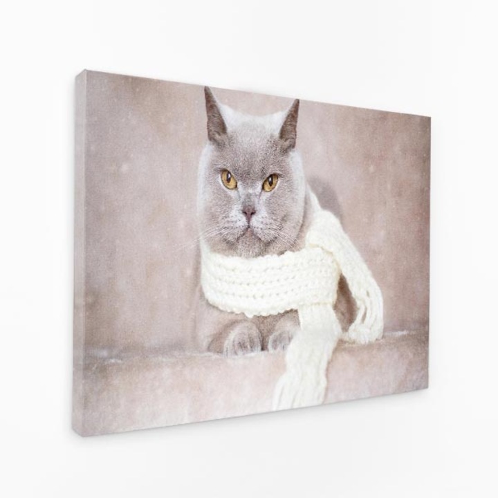 Картина върху платно - Котка с шал Сива котка, седнала на диван - 40x60 см