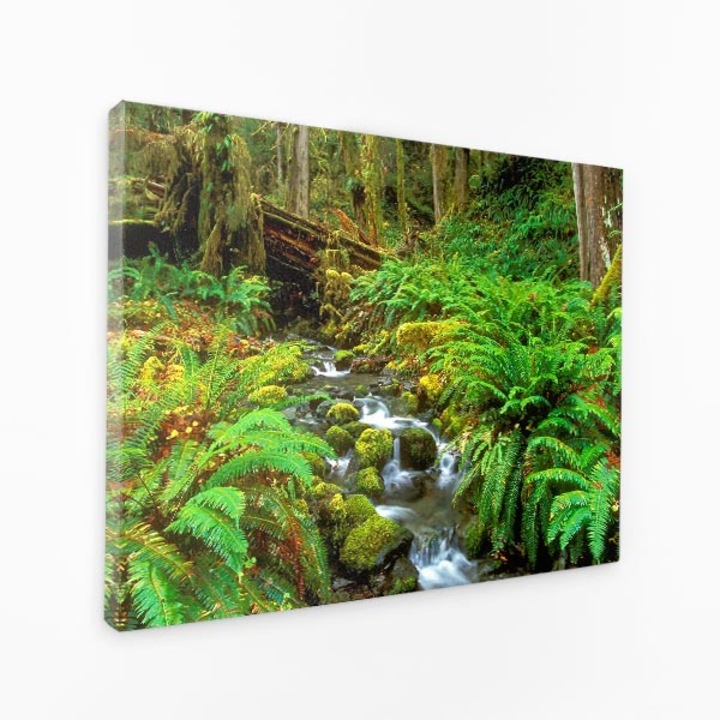 Картина върху платно - Водопад в горски поток, мъхести скали - 70x50 см