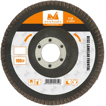 Disc lamelar frontal, D: 125 mm, G: 60 Disc lamelar frontal, D: 125 mm, G: 60