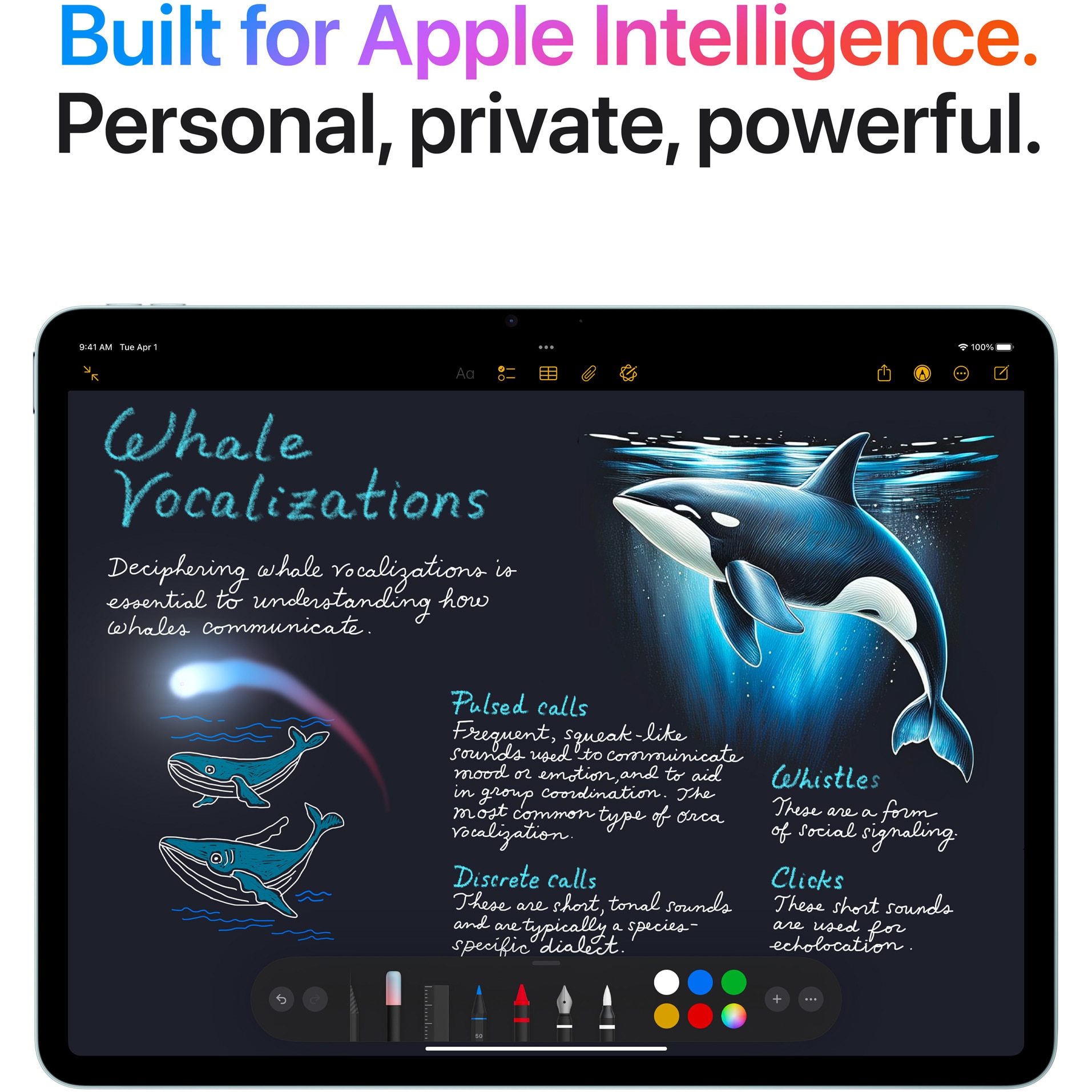 Apple iPad Air 13, M3, 128GB, Wi-Fi + Cellular, Space Grey - eMAG.ro