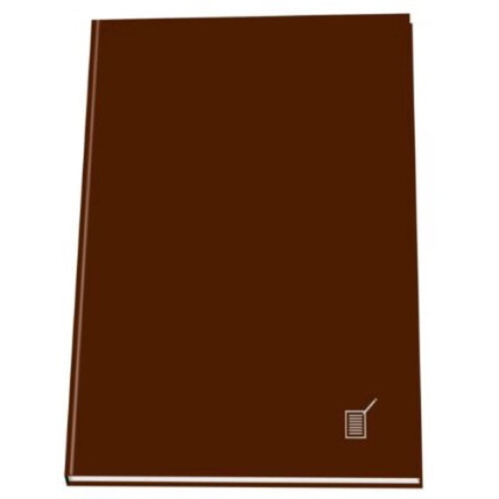 Registru A4 dictando, 192 file, cartonat