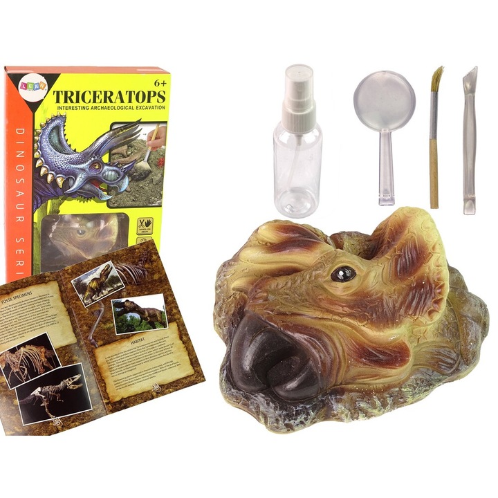 Set educational de sapaturi Triceratops, 14x11cm, 30x19x6cm, pentru copii peste 6 ani