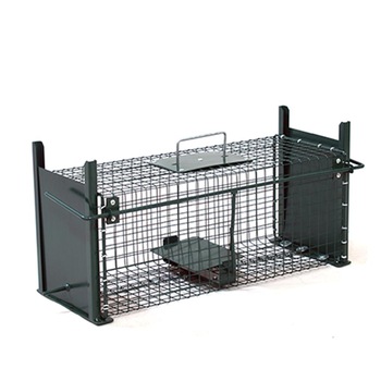 Capcana pentru captare vie ITA H&G, 50x18x18cm, Verde Capcana pentru captare vie ITA H&G, 50x18x18cm, Verde