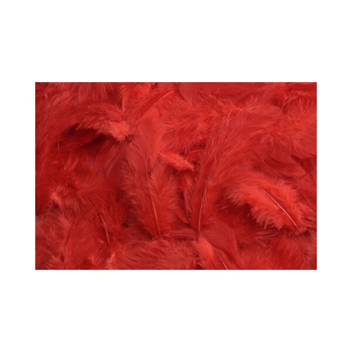 Accesorii decorative, Canea, Pierze naturalne barwione, rosu, 7-12cm, 10g