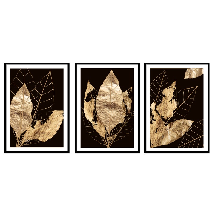 Картини PoStar, ТРИПТИХ, комплект 3, рамка, сухи листа, 73x53см
