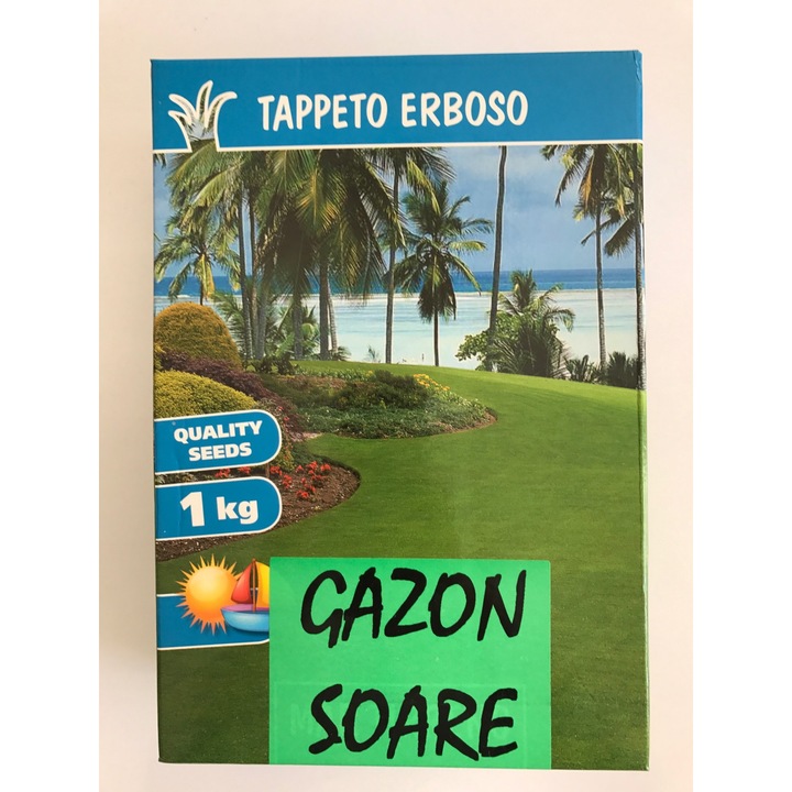 Seminte gazon Soare, 1 kg