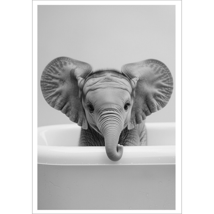 Tablou PoStar, Plakat fara rama, elefant amuzant, 50x70cm