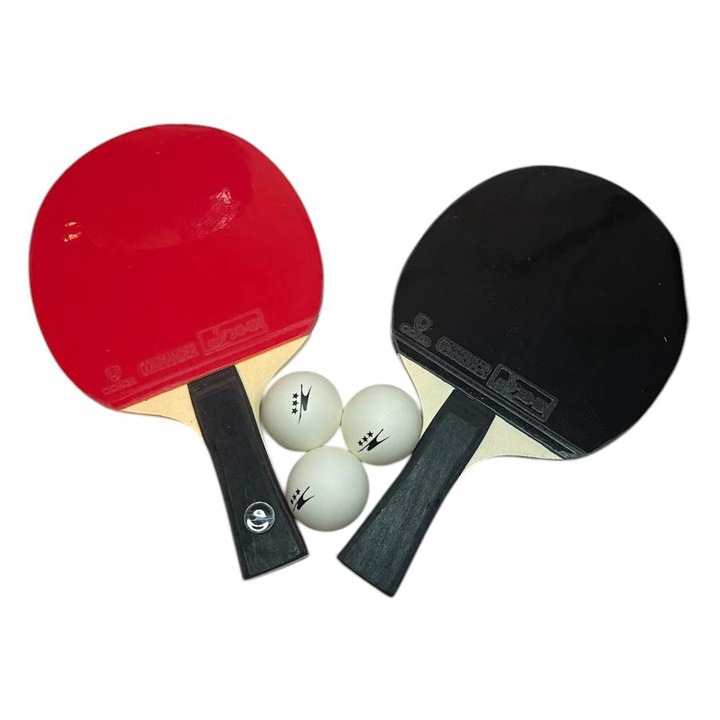 Set Palete Tenis Crane, de Masa, 3 Mingi, Husa, 25 x 16 cm, Multicolor