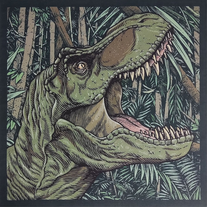 Bandana patrata 55x55cm din bumbac pieptanat, model multicolor, pentru barbati si femei