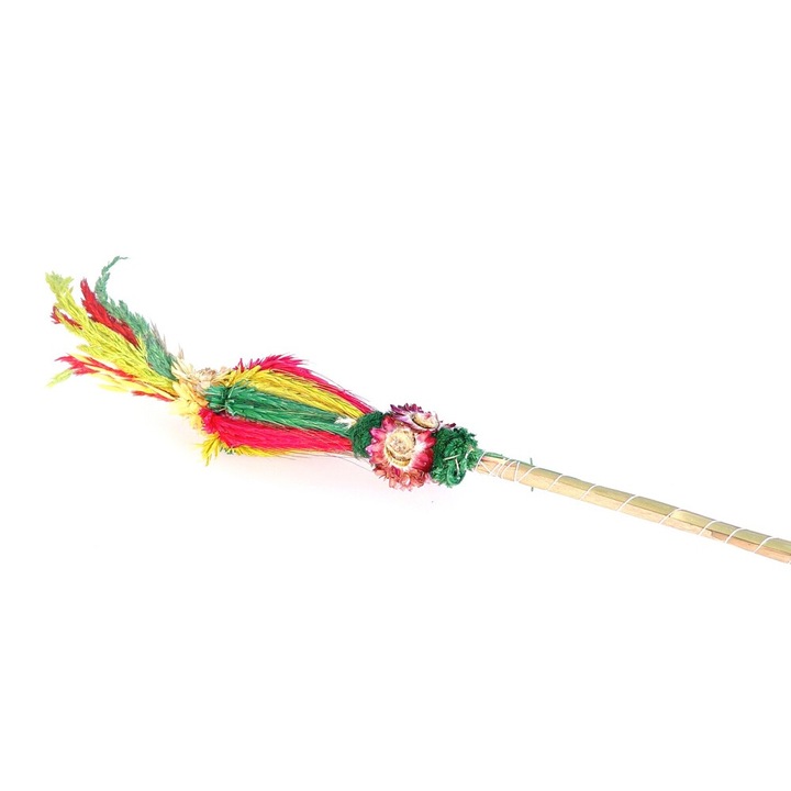 Palmier de Paste, Arpex 50 cm