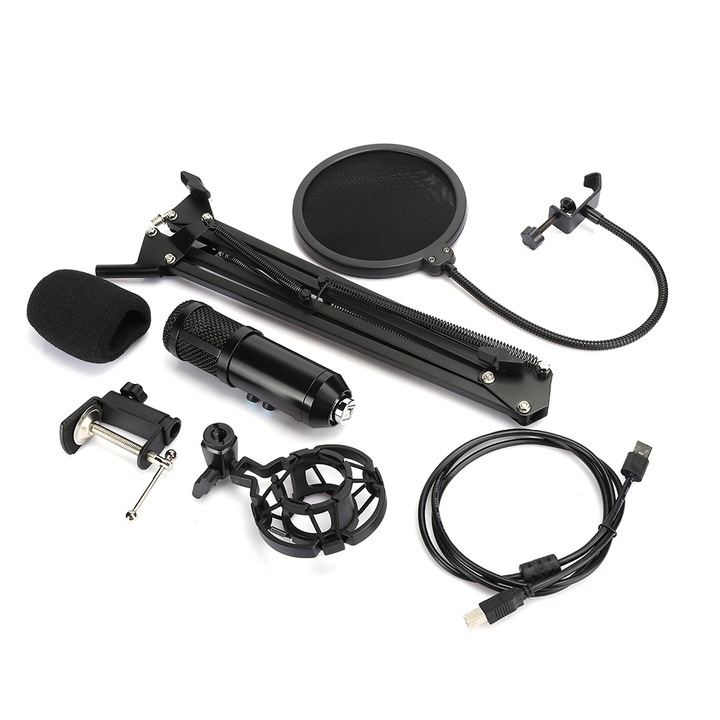 Microfon profesional Enforose, portabil, cu protectie anti-zgomot, alimentare USB, metalic