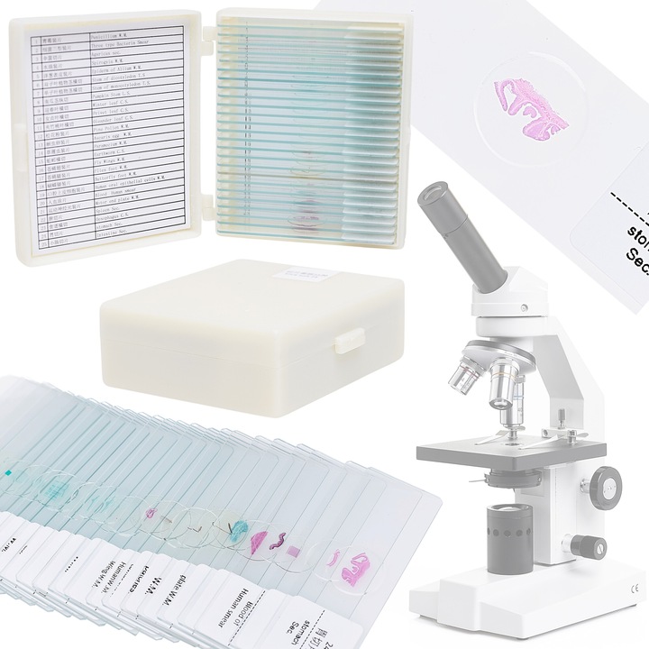 Set 25 preparate biologice pentru microscop, TECHREBAL, anatomie, zoologie, multicolor