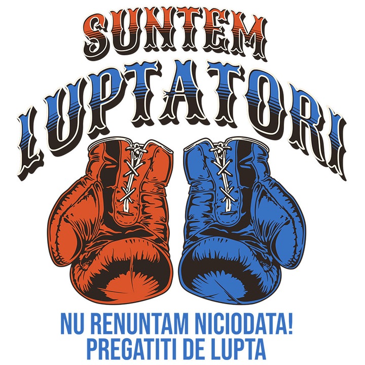 Sticker cu Manusi Box Colorate Sport Contact Distractie Meci Text Suntem Luptatori Nu Renunta Niciodata cu Margini Albe, PVC Vinyl 23 cm