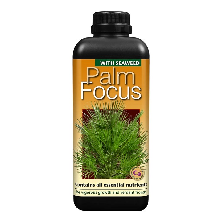 Fertilizant pentru palmieri Palm Focus 300 ml