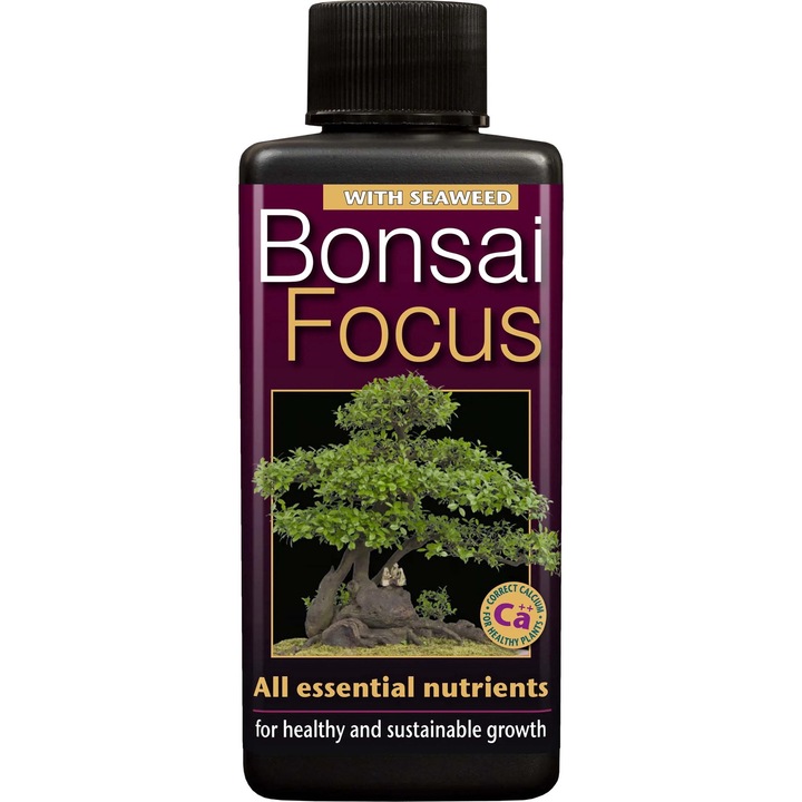 blaukorn dnger fr bambus Bambus Dnger Flora Boost fr gesunde und prchtige Bambuspflanzen