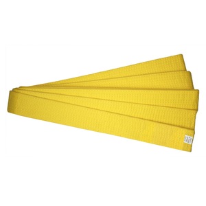 Aparatori si Protectii corporale