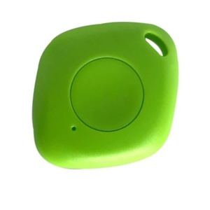 Dispozitive anti-pierdere