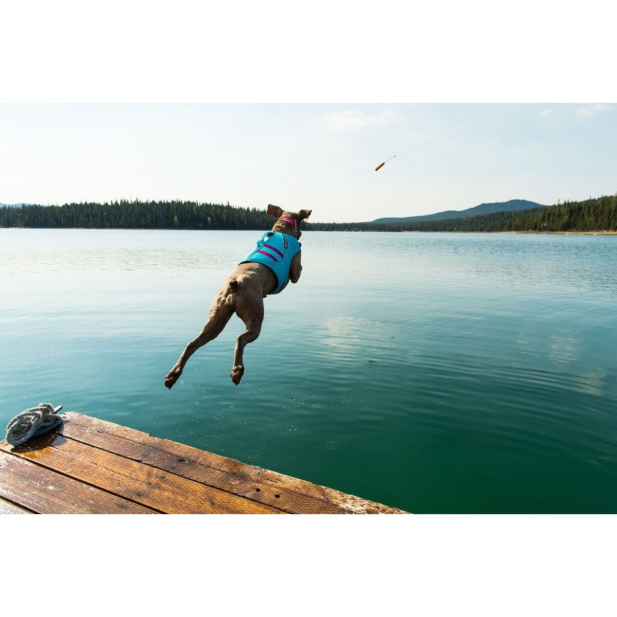 ruffwear float coat xs