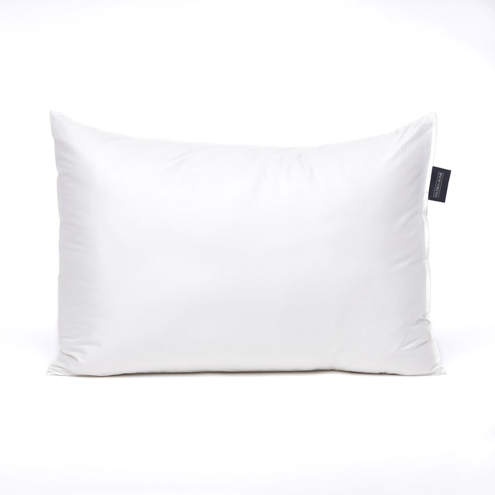 Valeria Home Természetes Selyem Párna, 40x40 cm, Magas Keménység