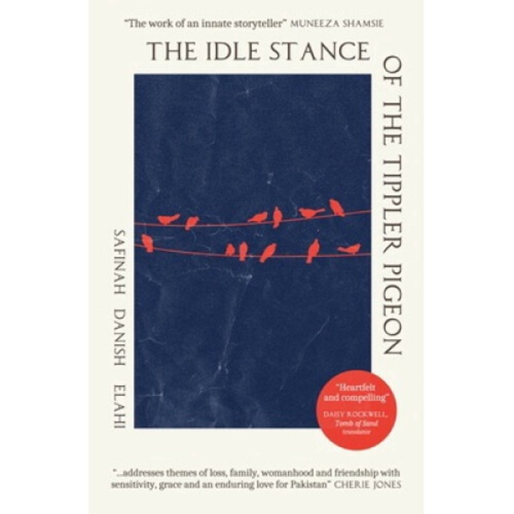 The Idle Stance Of The Tippler Pigeon - Safinah Danish Elahi