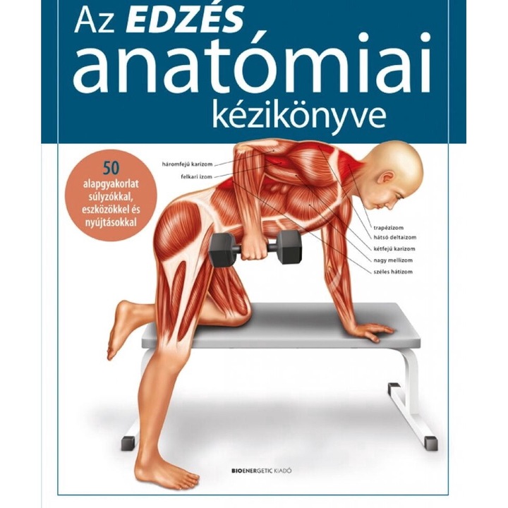 Prof. dr. Ken Ashwell; Az edzés anatómiai kézikönyve