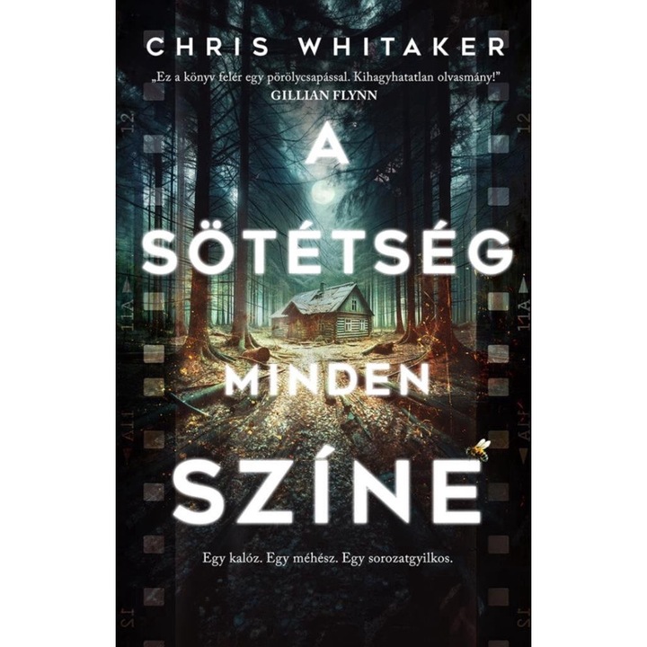 Chris Whitaker: A sötétség minden színe