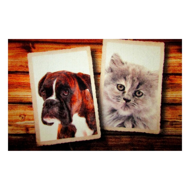 Oassicarpets Star Deco szőnyeg, 40 cm x 60 cm, Többszínű
