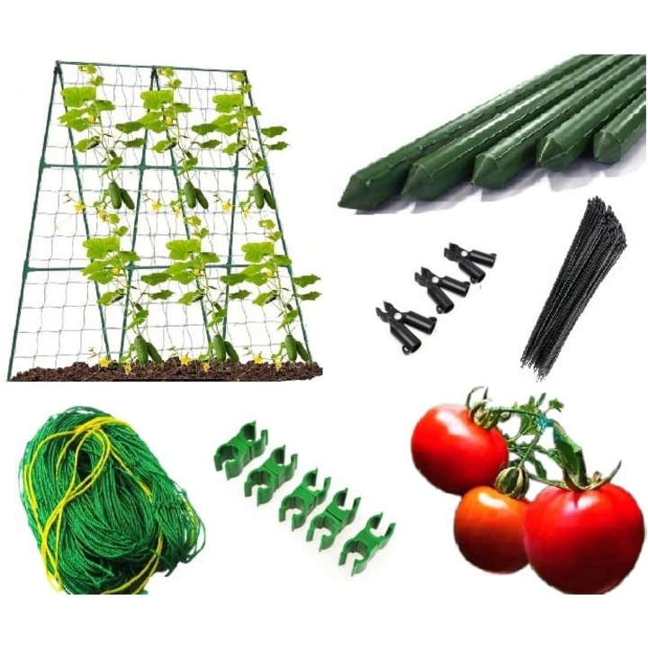 Rama cu plasa pentru rosii si castraveti 210 x 210 cm