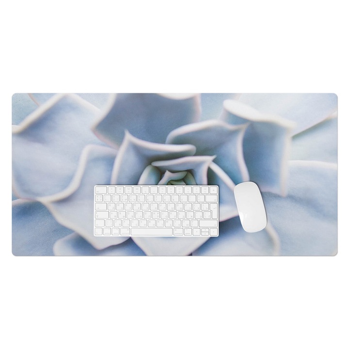 Protectie birou, Wallfluent, Suculente in spirala, Albastru, 90x45 cm, 010250300040100077249