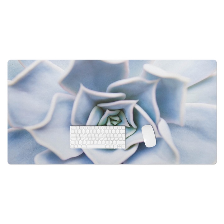 Protectie birou, Wallfluent, Suculente in spirala, Albastru, 120x60 cm, 010250300030100077249