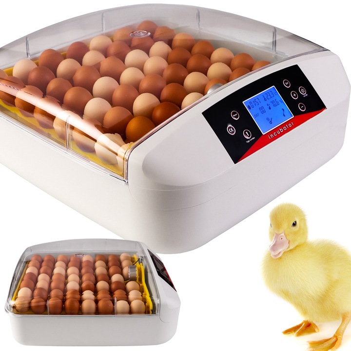 Инкубатор с термостат за 56 яйца, Kruger Meier HFM Bruterei Thermo, бял