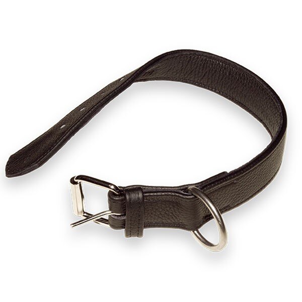 Zgarda K9 piele - 40 mm x 55 cm / neagra