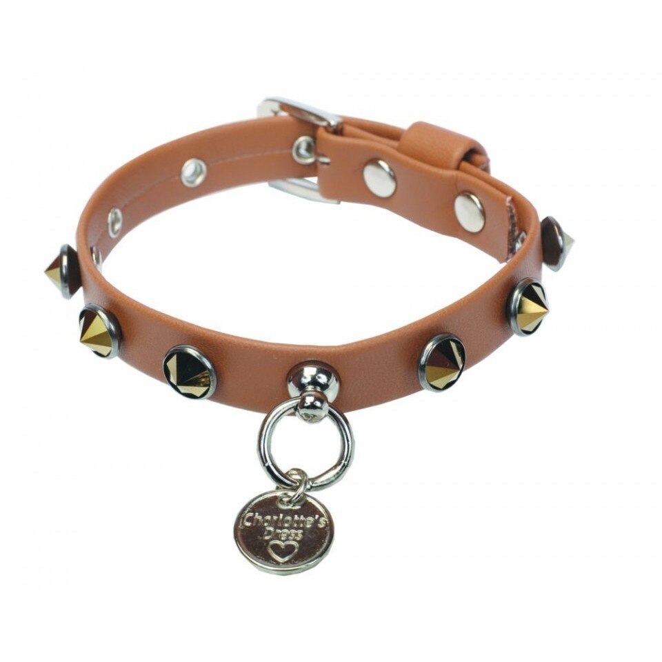 Zgarda caini Spike - decor