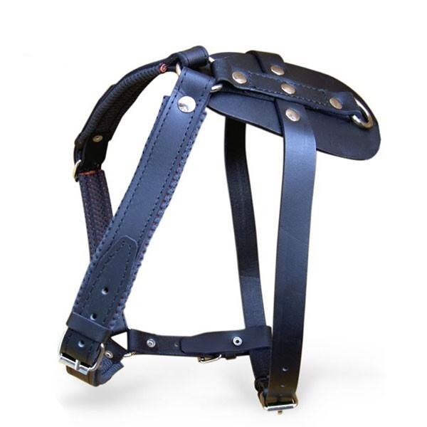 Ham K9 piele - mascul