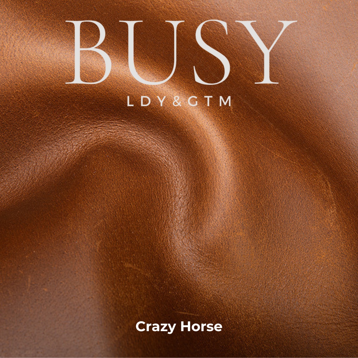 Geanta laptop 15, 6 din piele naturala CrazyHorse, BUSY LDY&GTM® Patrik, curea de umar si manere din piele, maro