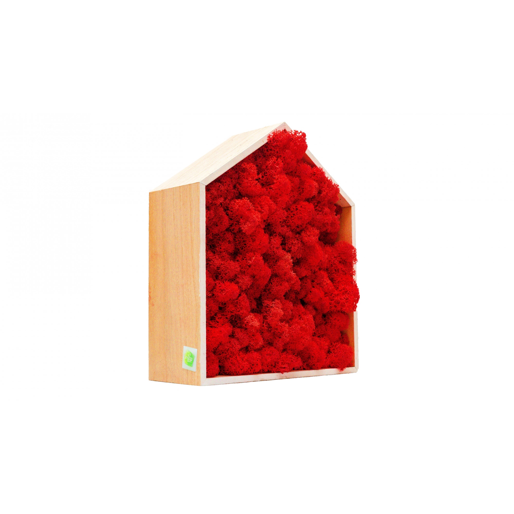 Casuta cu Licheni Decorativa