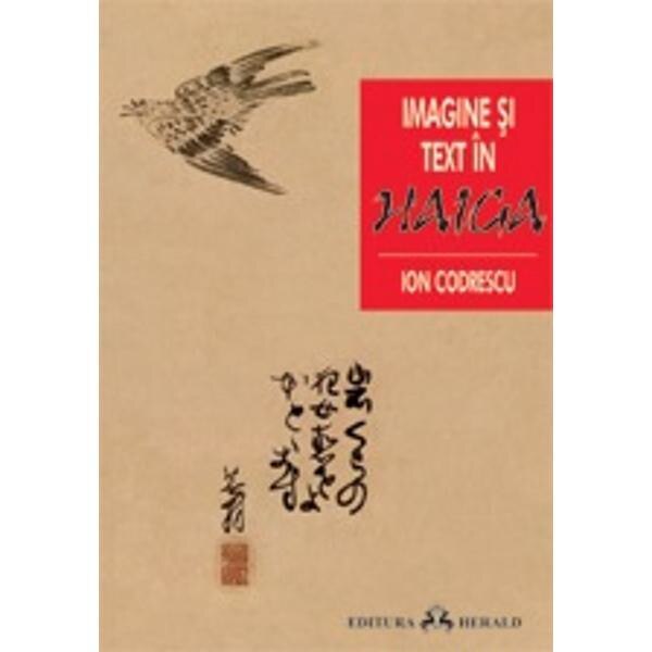 Imagine si text in Haiga - Ion Codrescu