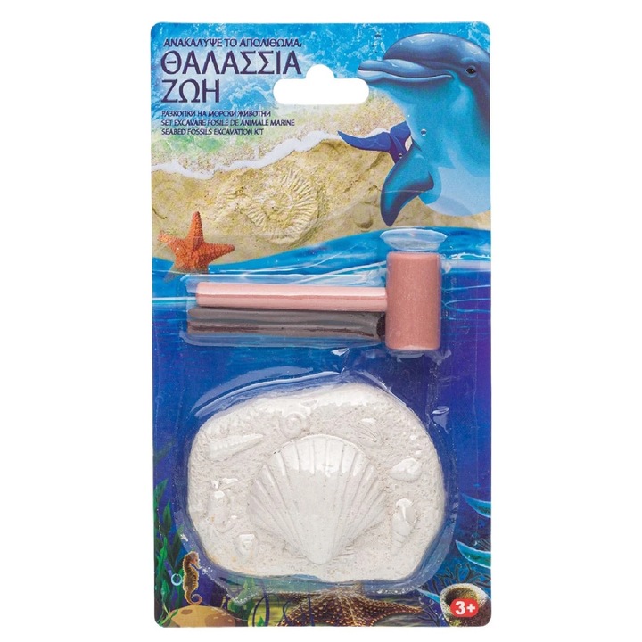 Ásatási készlet, Tengeri kövület, 12,5x21 cm