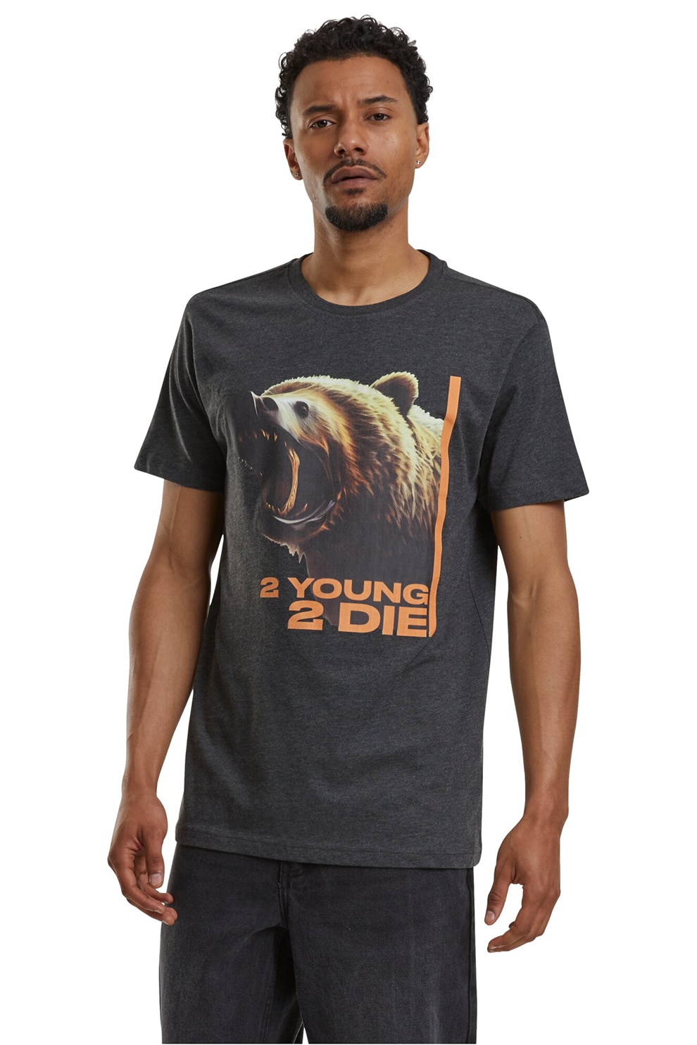 Mister tee, Tricou regular fit cu imprimeu, Maro, Portocaliu mandarina, Gri inchis, M